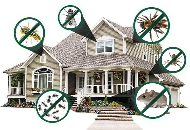 AG Pest Services Picture 7