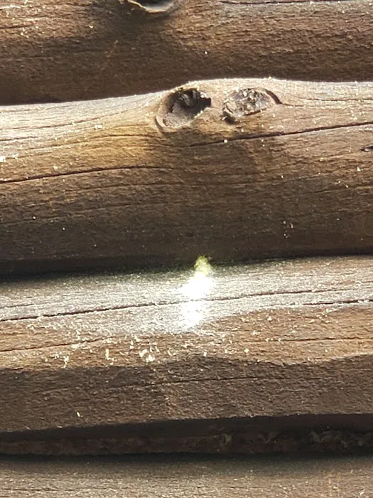 AG Pest Services Picture 8