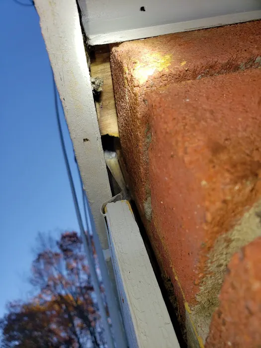 AG Pest Services Picture 9