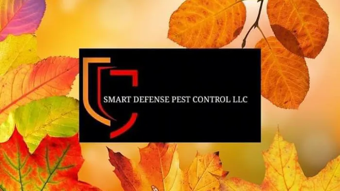 Smart Defense Pest Control Picture 9