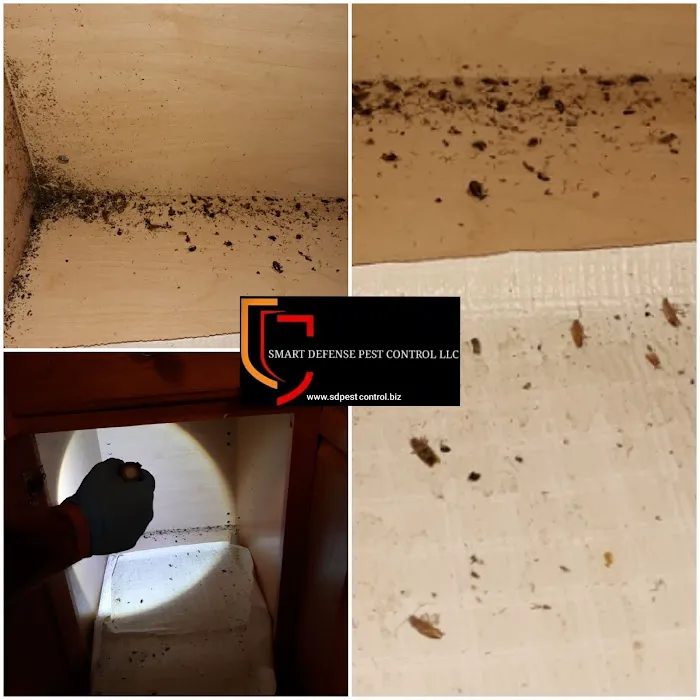 Smart Defense Pest Control Picture 10