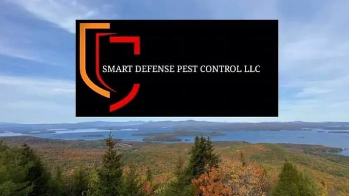 Smart Defense Pest Control Picture 6