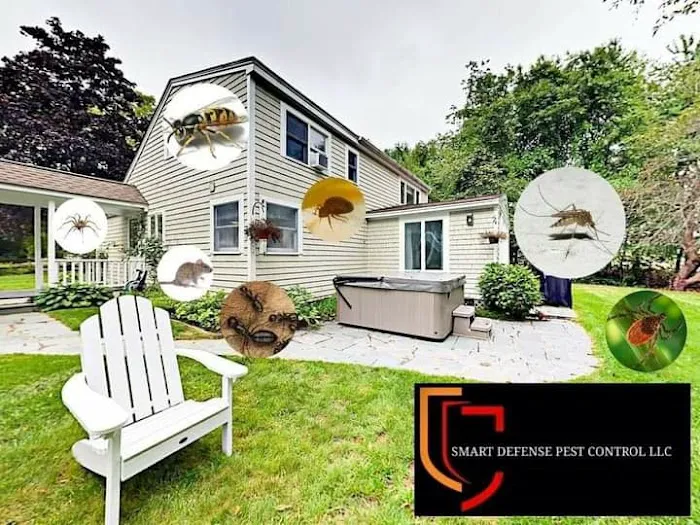 Smart Defense Pest Control Picture 5