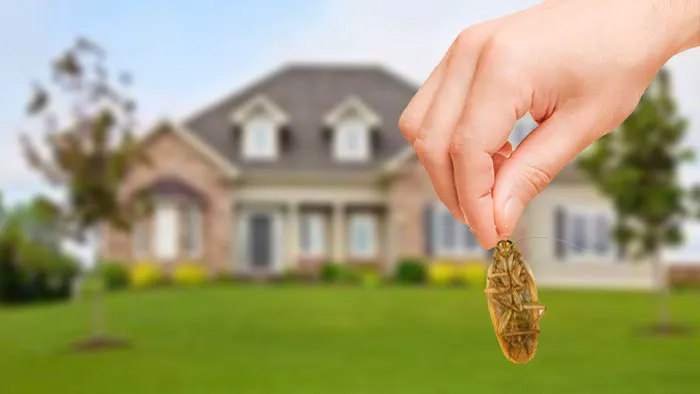 Smart Defense Pest Control Picture 1