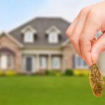 Smart Defense Pest Control