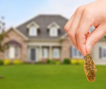 Smart Defense Pest Control