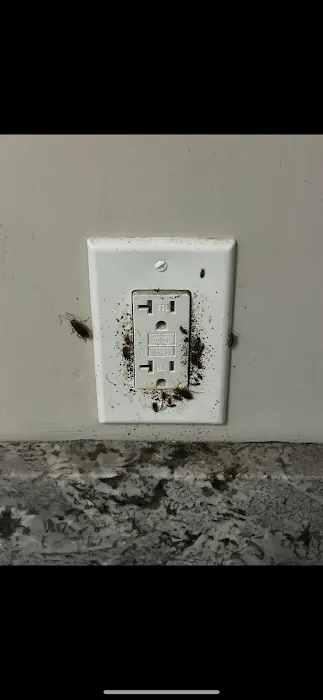 Pest Busters Picture 6
