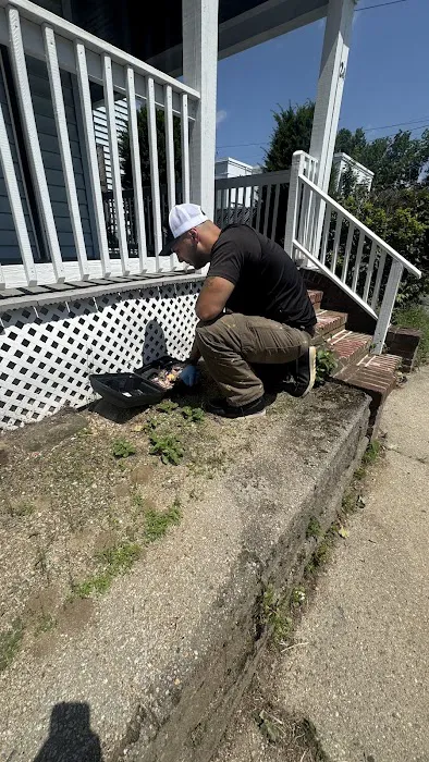 Pest Busters Picture 8