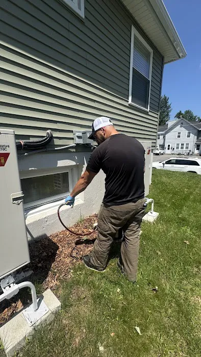 Pest Busters Picture 5