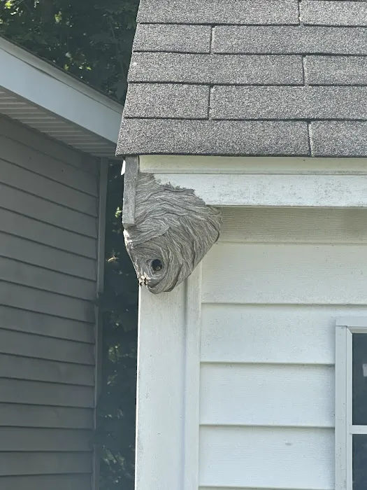 Pest Specialist LLC Picture 6