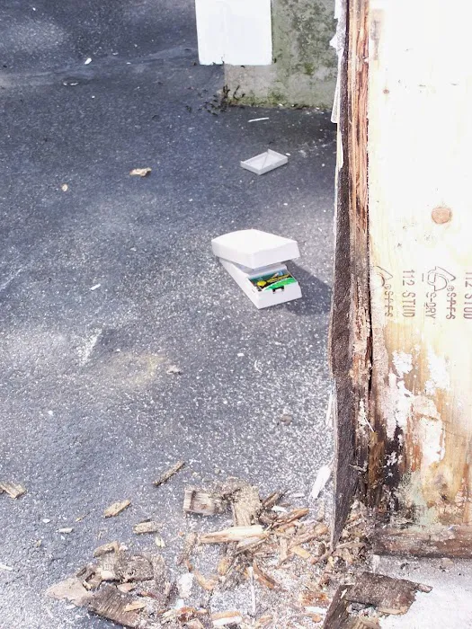 Pest Specialist LLC Picture 7
