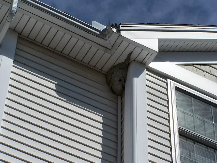Pest Specialist LLC Picture 10