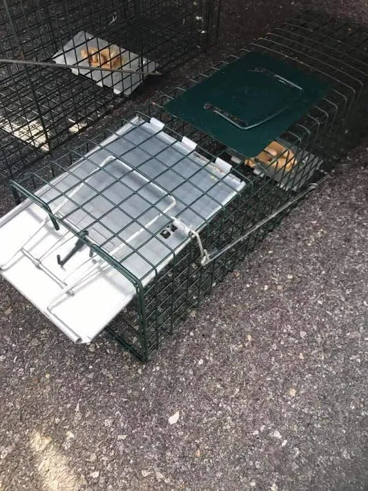 Appalachian Animal Control Picture 5