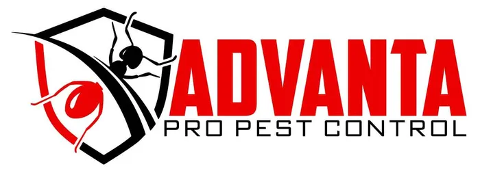 Advanta Pro Pest Control LLC Picture 2