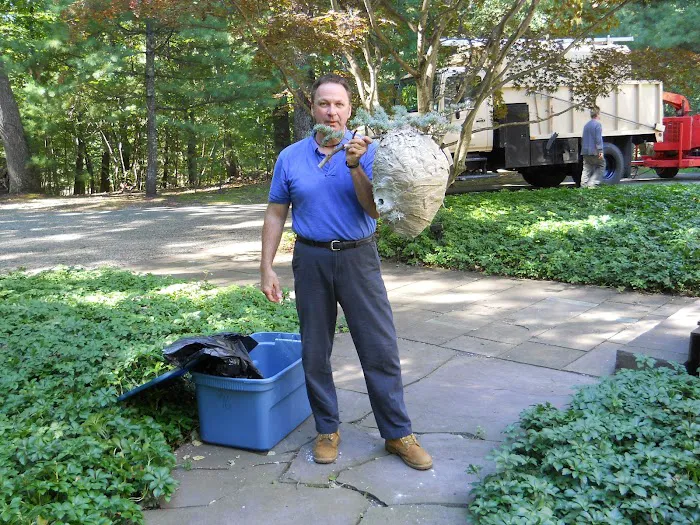Mantis Pest Control LLC Picture 1