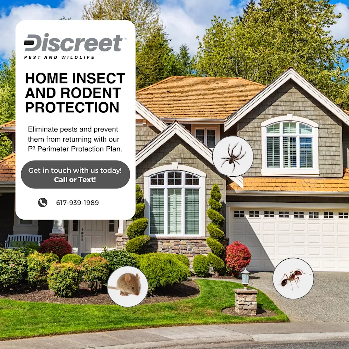 Discreet Pest and Wildlife Services, Inc. Picture 4