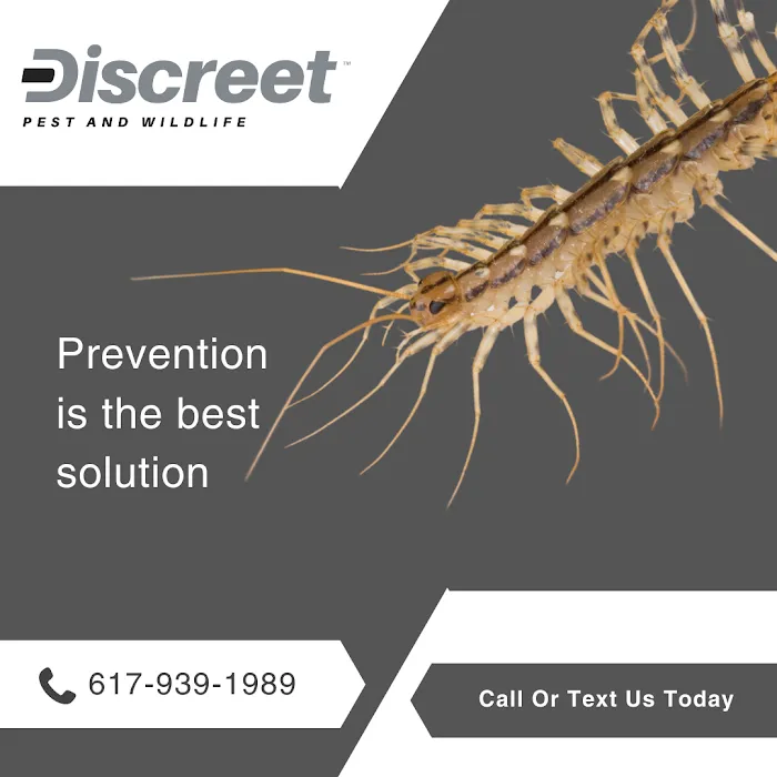 Discreet Pest and Wildlife Services, Inc. Picture 5