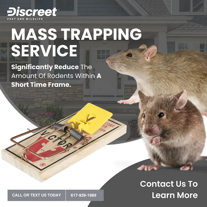 Discreet Pest and Wildlife Services, Inc. Picture 3