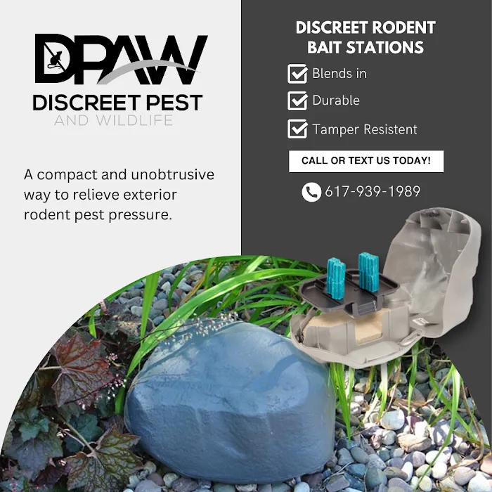 Discreet Pest and Wildlife Services, Inc. Picture 8