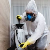 Dennis the Mennis Pest Control ico