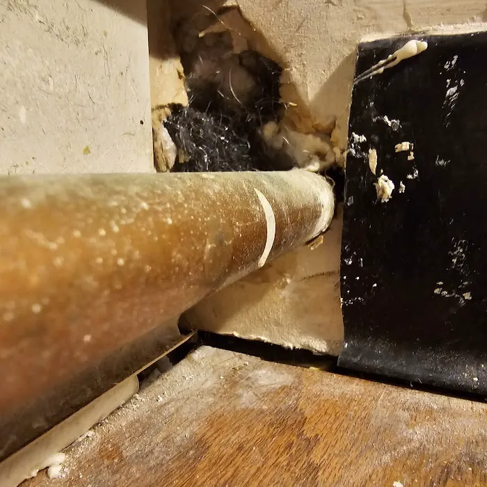 Waltham Pest Control Picture 7