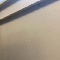 NW Pest Control ico