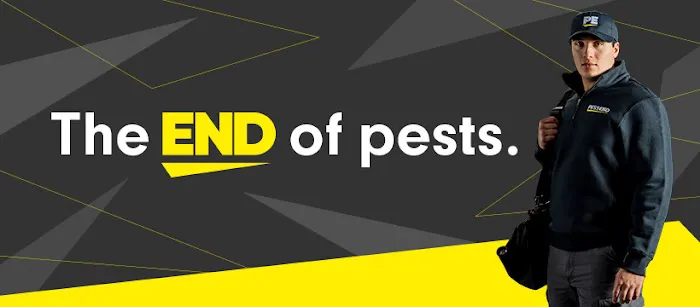 Pest-End Picture 4