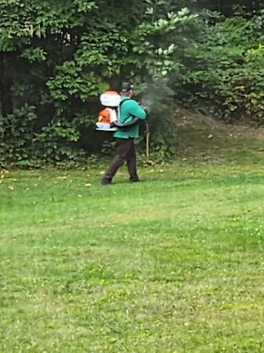 Mosquito Joe of Haverhill Picture 7