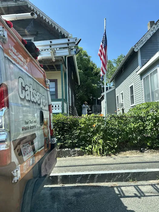 Catseye Pest Control - Tewksbury, MA Picture 7