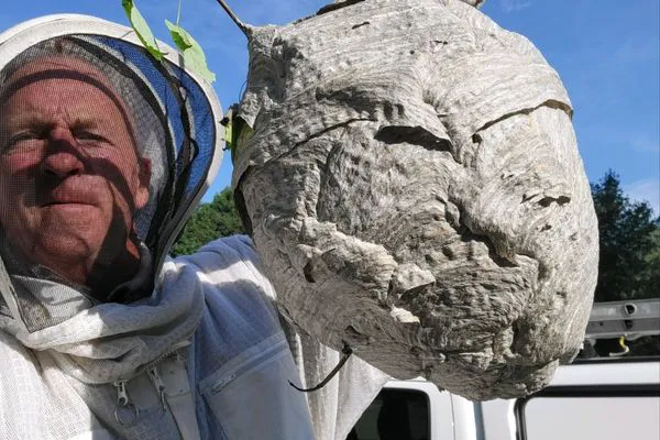 Biggins Exterminating Co. Picture 1