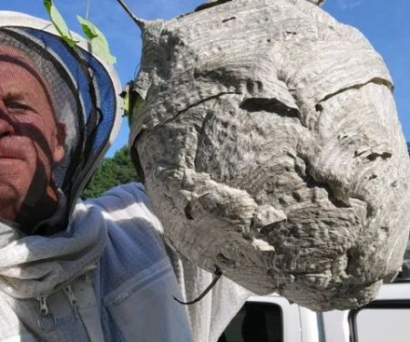 Biggins Exterminating Co.