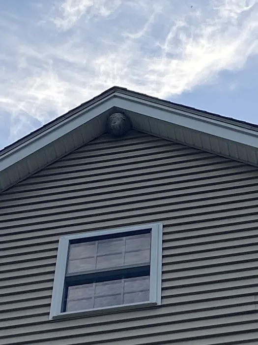 Biggins Exterminating Co. Picture 8