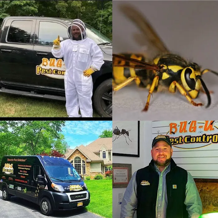 Bug-U Pest Control LLC Picture 5