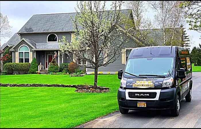 Bug-U Pest Control LLC Picture 7