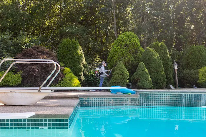 Backyard Dome Picture 10