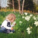 Naturally Tick Free