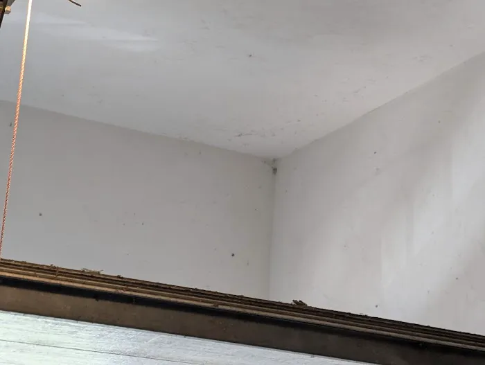 Moxie Pest Control Picture 2