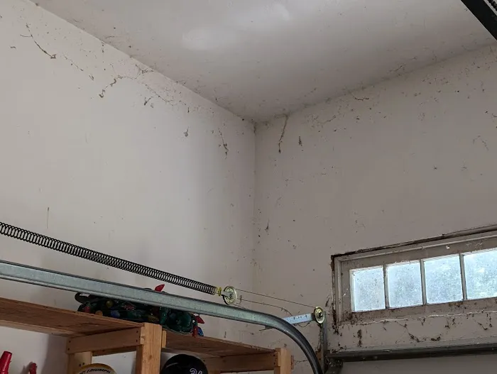Moxie Pest Control Picture 10