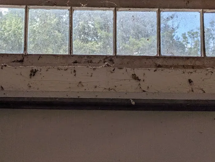 Moxie Pest Control Picture 7