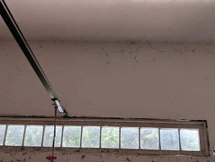 Moxie Pest Control Picture 3