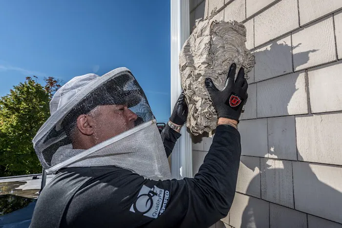 Ultra Safe Pest Management Picture 9