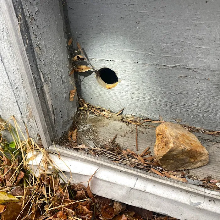 Nuisance RMVL LLC Pest Control Picture 8