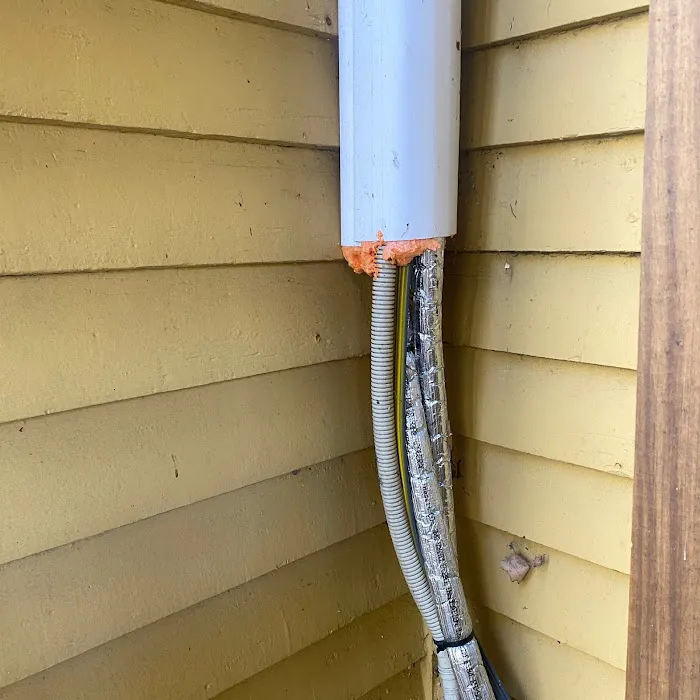 Nuisance RMVL LLC Pest Control Picture 5
