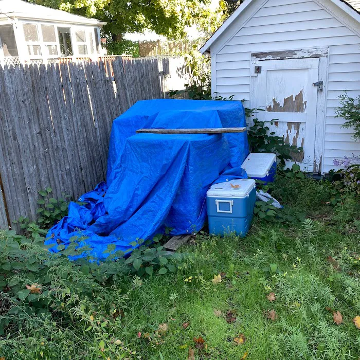 Nuisance RMVL LLC Pest Control Picture 9