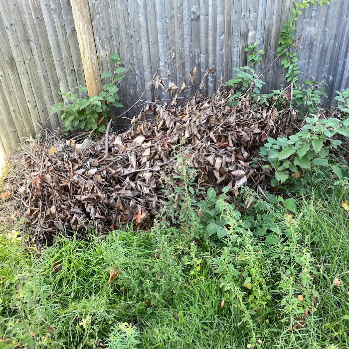 Nuisance RMVL LLC Pest Control Picture 7