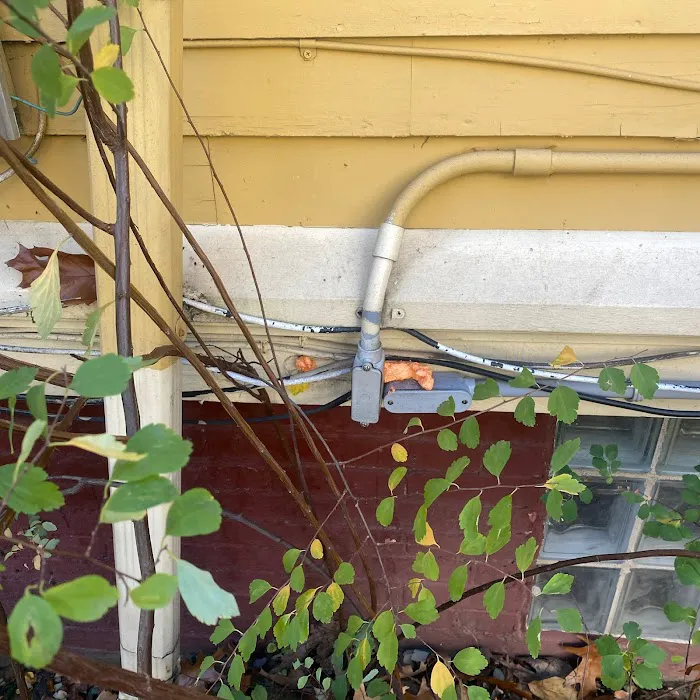 Nuisance RMVL LLC Pest Control Picture 4