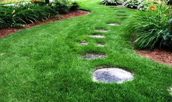 GreenAce Lawn Care, LLC Picture 10