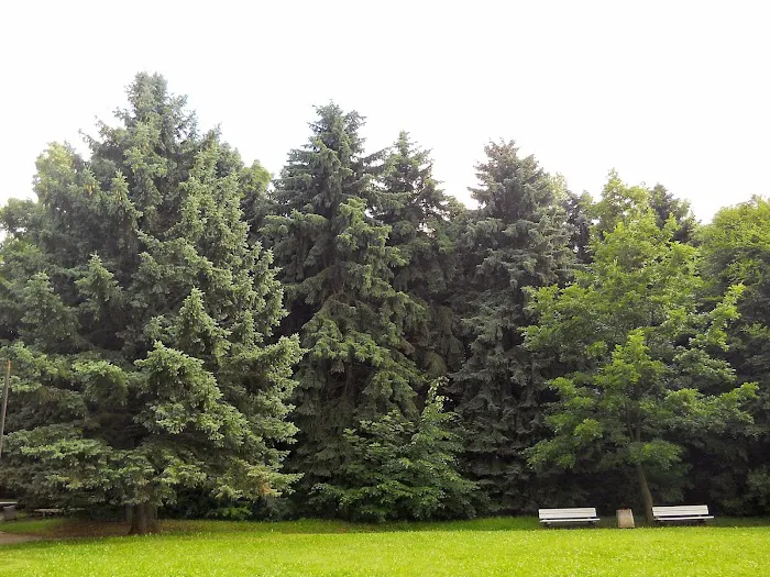 GreenAce Lawn Care, LLC Picture 1