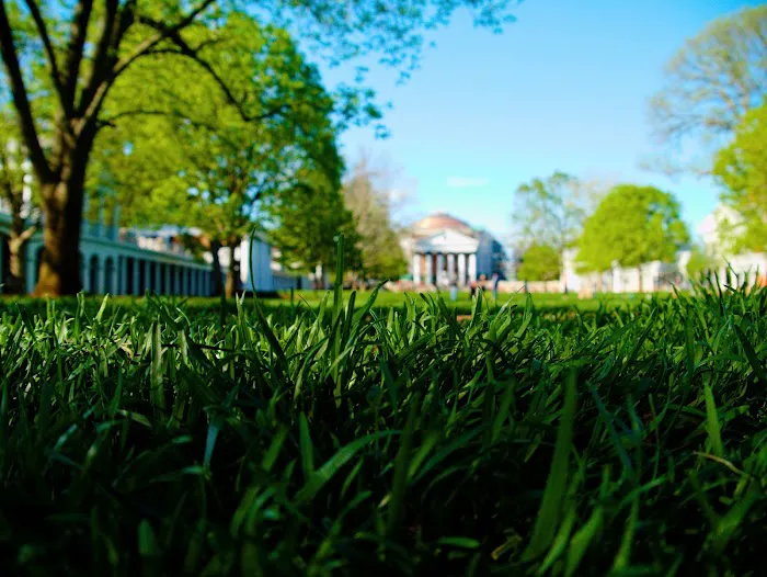 GreenAce Lawn Care, LLC Picture 7