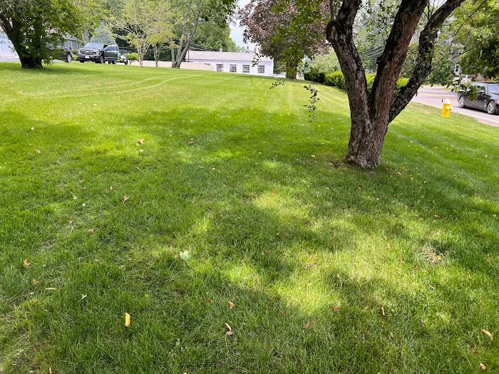 GreenAce Lawn Care, LLC Picture 6